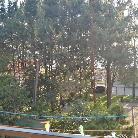 Apartment Agmashenebeli 99 Kobuleti Kültér fotó